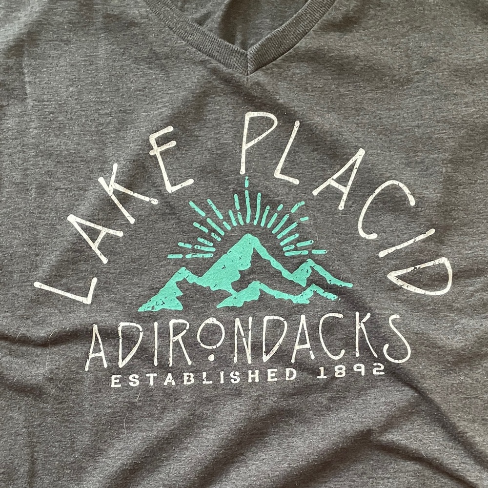 Lake Placid Dark Gray V-Neck Tee - Picture 3 of 3